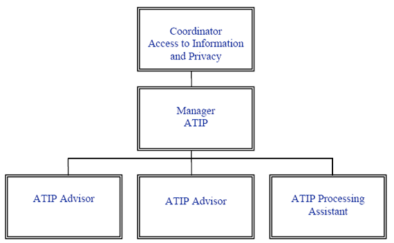 Organizational Structure