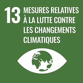 13 : Mesures relatives à la lutte contre les changements climatiques